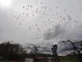 Ballontag 174.JPG
