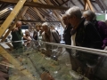 Ausflug Frauenkreis Bad Wurzach 023 1024