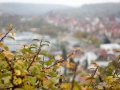 2015-10_gemeindeausfahrt-WalheimBesigheim_006