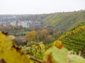 2015-10_gemeindeausfahrt-WalheimBesigheim_008