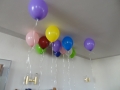 DSC01340