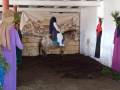 IMG_20210329_163203471