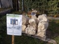 IMG_20210329_174240446