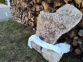 IMG_20210329_183122155