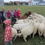Kindertreff und Schafe